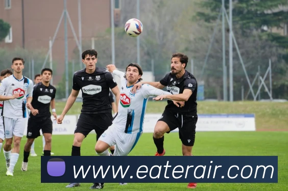 世界杯官方入口APP 封面图